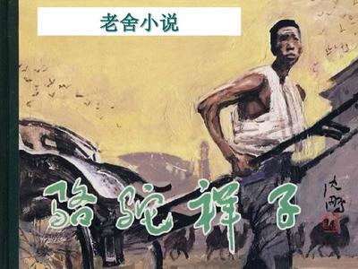 张津瑜第三部有多惨